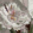 Preview of cross stitch pattern: #3018697
