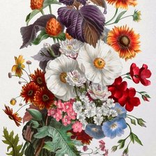 Cross stitch pattern: #3018697