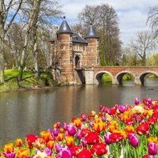 Cross stitch pattern: #3018891