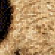 Preview of cross stitch pattern: #3018941