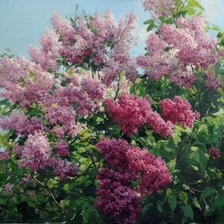 Cross stitch pattern: #3019741