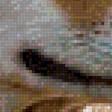 Preview of cross stitch pattern: #3019867