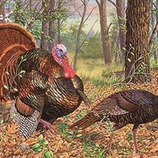 Cross stitch pattern: #3019906