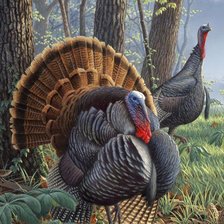 Cross stitch pattern: #3019913