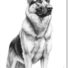 Cross stitch pattern: #3020640