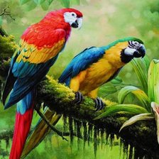 Cross stitch pattern: #3022291