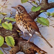 Cross stitch pattern: #3022741