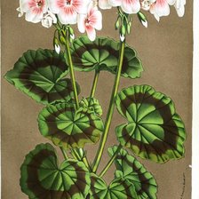 Cross stitch pattern: #3023818