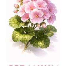 Cross stitch pattern: #3023819