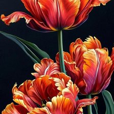 Cross stitch pattern: #3023907