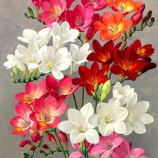 Cross stitch pattern: #3023928