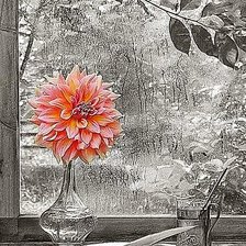 Cross stitch pattern: #3024452