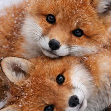Cross stitch pattern: #3025200