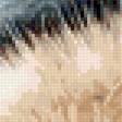 Preview of cross stitch pattern: #3025359