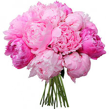 Cross stitch pattern: #3025582