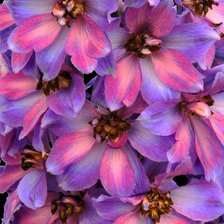 Cross stitch pattern: #3025869