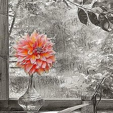 Cross stitch pattern: #3025987