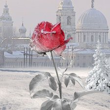 Cross stitch pattern: #3026074