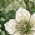 Preview of cross stitch pattern: #3026470