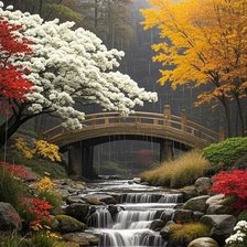 Cross stitch pattern: #3026730