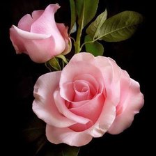 Cross stitch pattern: #3027067
