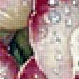 Preview of cross stitch pattern: #3027469