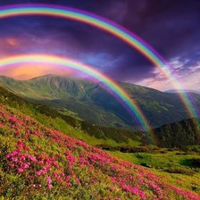 Cross stitch pattern: #3028170