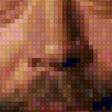 Preview of cross stitch pattern: #3028571