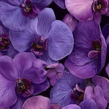 Cross stitch pattern: #3028585