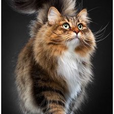 Cross stitch pattern: #3028967