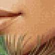 Preview of cross stitch pattern: #3029152