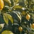 Preview of cross stitch pattern: #3029155