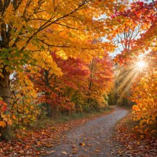 Cross stitch pattern: autumn