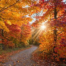Cross stitch pattern: autumn
