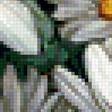 Preview of cross stitch pattern: #3029582