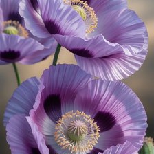 Cross stitch pattern: #3029593