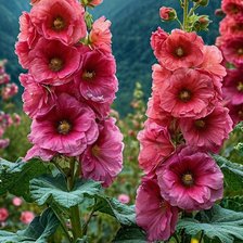 Cross stitch pattern: #3029868