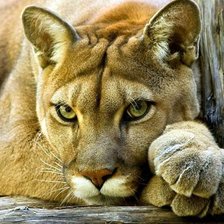 Cross stitch pattern: #3029930