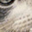 Preview of cross stitch pattern: #3029944