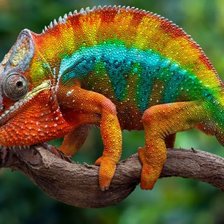 Cross stitch pattern: #3029988