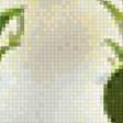 Preview of cross stitch pattern: #3030019
