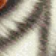 Preview of cross stitch pattern: #3030303