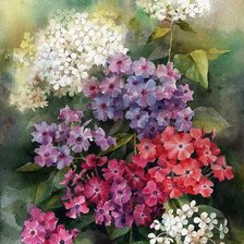 Cross stitch pattern: #3031839