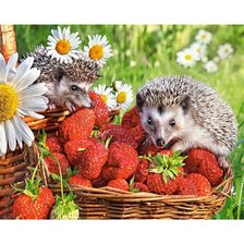 Cross stitch pattern: #3032999