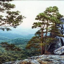 Cross stitch pattern: #3033404