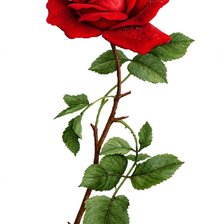 Cross stitch pattern: rose flower