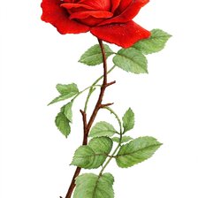 Cross stitch pattern: #3033757