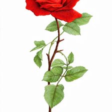 Cross stitch pattern: #3033779