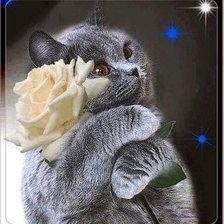 Cross stitch pattern: #3034225