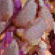 Preview of cross stitch pattern: #3034296